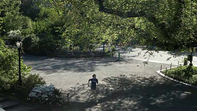 中央公园的早晨视频下载