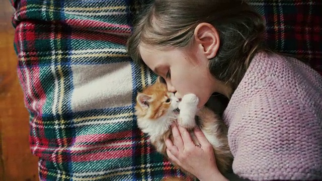 小女孩在床上和小猫玩视频下载