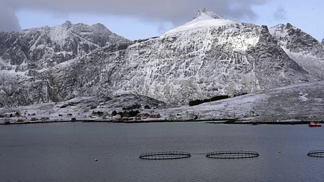 挪威罗浮敦岛海边的雪山从左到右拍摄，渔船在海面上奔跑视频下载
