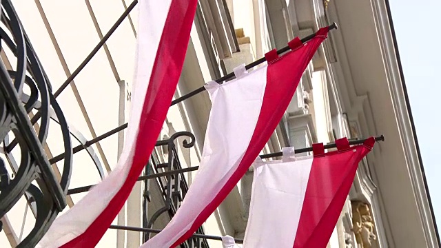 德国联邦政府-在维也纳联邦政府的标志和威尼斯国旗视频下载