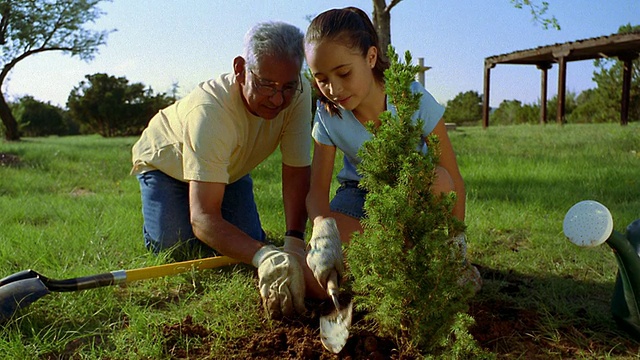 中拍摄的西班牙男子和女孩在户外种植灌木/新墨西哥视频素材