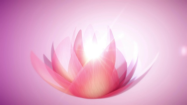 文摘Lotus背景视频素材