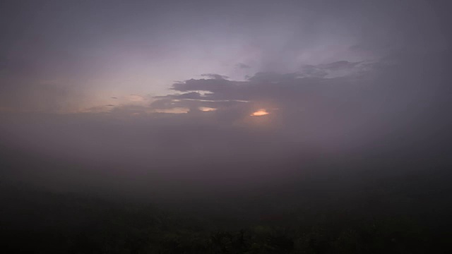 雾和云在雨林树山顶视频下载