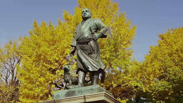 saiigo Takamori的雕像和银杏树视频下载