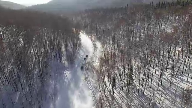 在雪地上的比赛中，汽车在森林道路上超速行驶视频下载