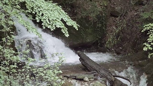绿林溪流视频素材