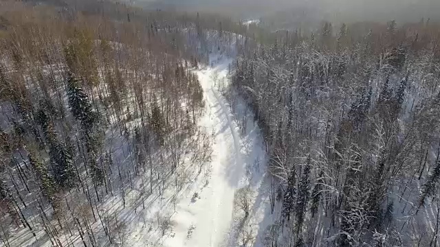 冬季森林公路上行驶的汽车发出的嗡嗡声视频素材