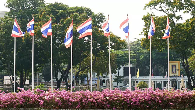 泰国国旗视频下载