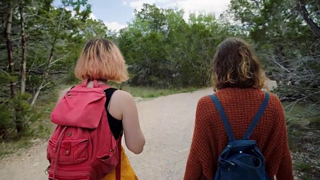 两姐妹徒步旅行，在国家公园森林的山路上散步和交谈。视频素材