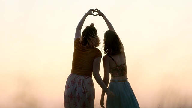 在神奇的时刻，姐妹们在开阔的田野里用手做出心形。视频素材