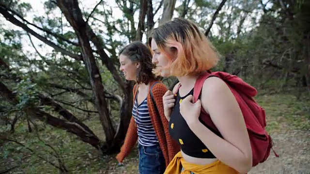 两姐妹徒步旅行，边走边聊。视频素材