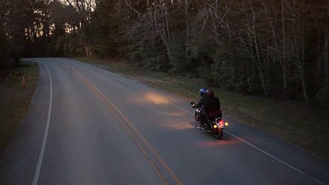 黄昏时分，一对夫妇骑着摩托车在寂寞的路上经过吃草的鹿。视频素材