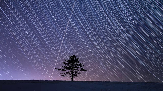 冬天在大壁岭的星空中看到孤独的树和银河视频素材