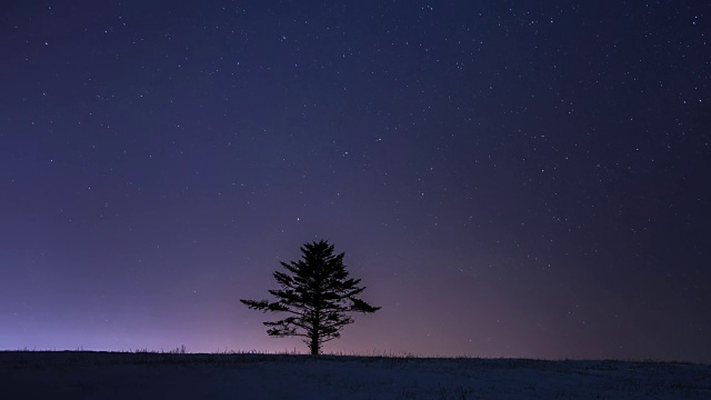 冬天在大壁岭的星空中看到孤独的树和银河视频素材