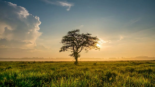 4k时间的日落天空在孤独的树木和绿色的田野视频下载