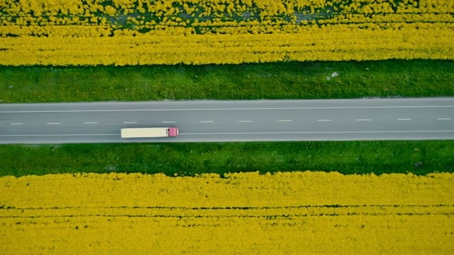 油菜籽田附近高速公路上卡车的鸟瞰图视频下载