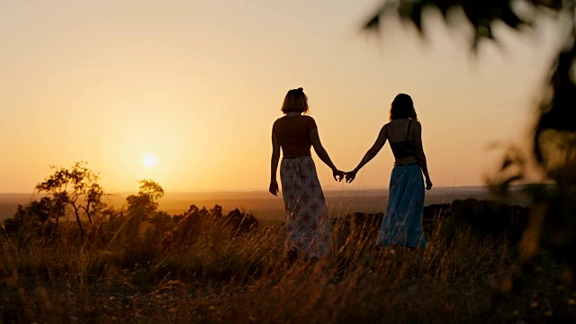 日落时分，两姐妹手拉手走过山野，望着山谷。视频素材