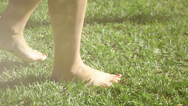 赤脚在草地上行走的慢动作视频视频素材
