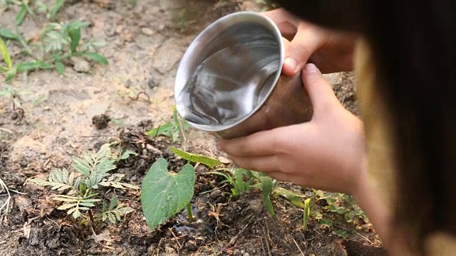 女孩浇灌植物视频下载