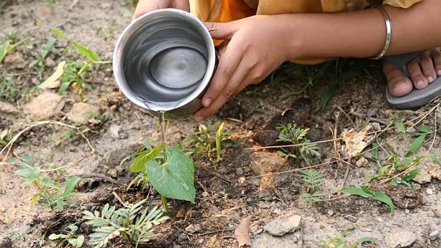 女孩浇灌植物视频下载