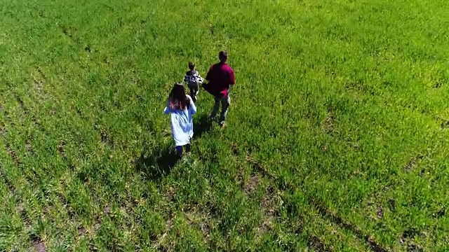 精力充沛的年轻家庭在绿色的田野上奔跑视频下载