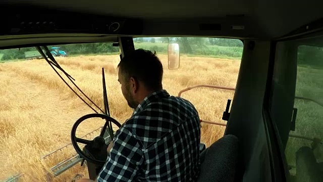 骑着联合收割机收割小麦的男农民视频下载