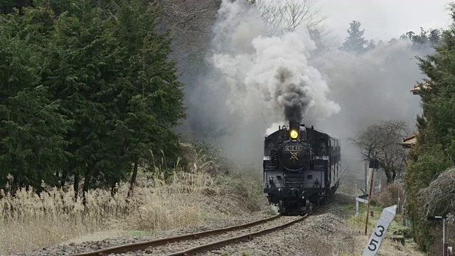 日本的蒸汽机车冒着黑烟行驶视频素材