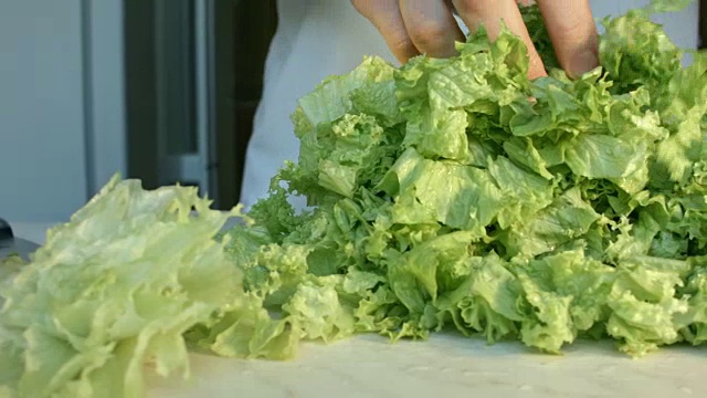 厨师们亲手切一片新鲜的绿色沙拉叶子。视频下载