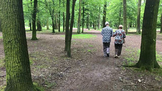 一对老年夫妇在公园里视频素材
