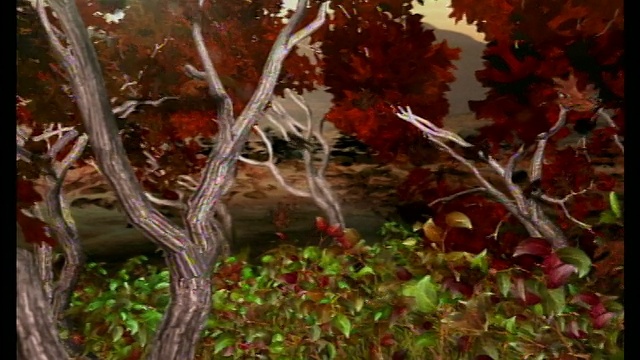电脑生成图像的观点，通过树木在森林与红色的秋天落叶视频素材