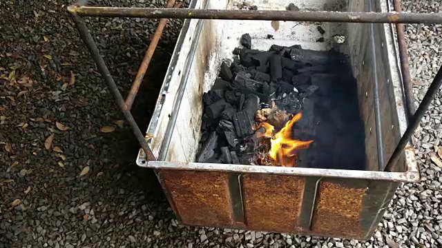 篝火做饭视频下载