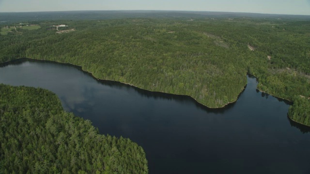 空中的湖。森林中的树林中的树视频素材