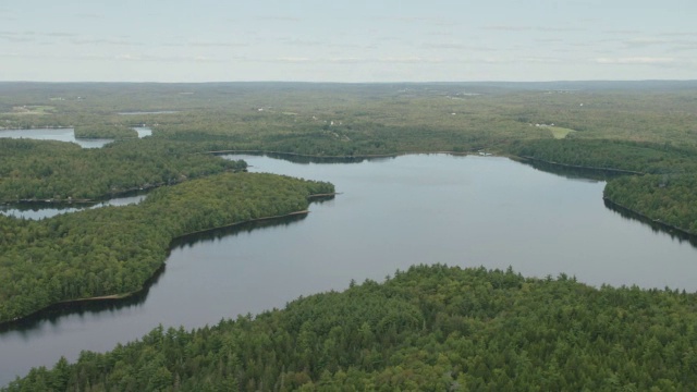空中的湖。森林中的树林中的树视频素材