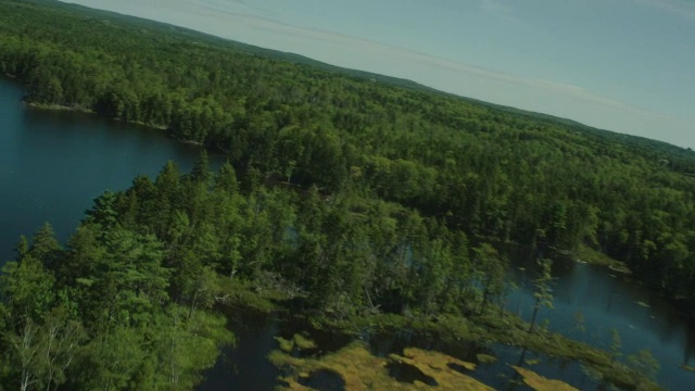 空中的湖。林中的树林中的树视频素材