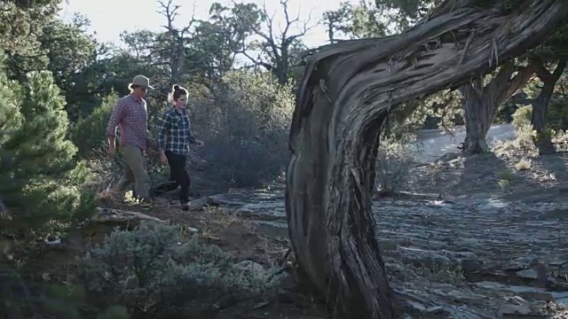 20多岁的情侣在灌木丛里远足视频下载