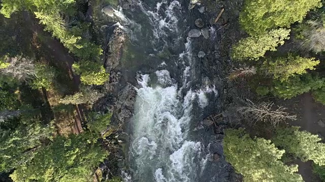 从上往下看河流穿过美丽的森林视频素材