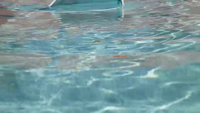 游泳池清洁- 4K视频下载