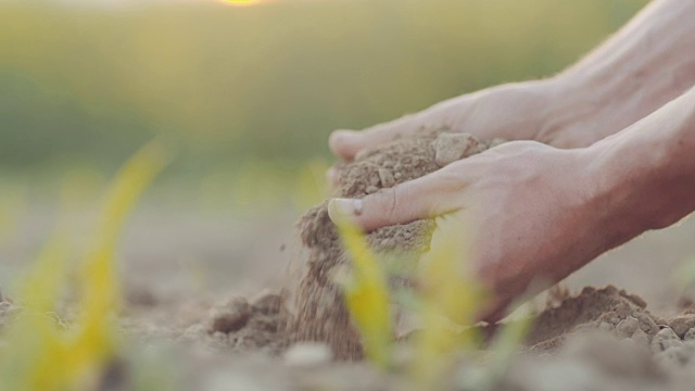 农民手中的泥土。农业。视频素材