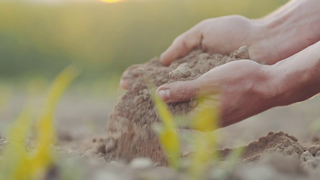 农民的手抓着土壤。农业的背景。视频素材