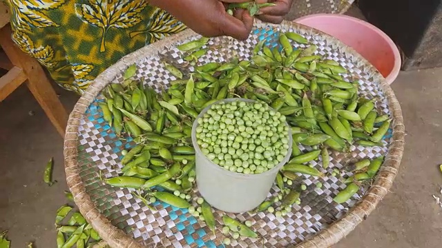 非洲妇女用手剥豌豆皮视频下载