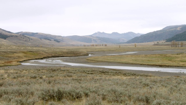 风景优美的河流和山脉/黄石国家公园，怀俄明州，美国视频素材