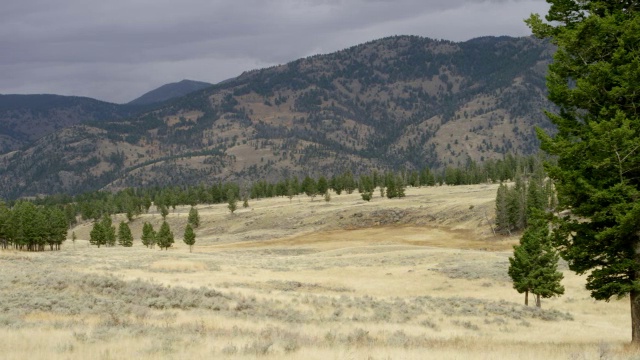 风景优美的山脉/黄石国家公园，怀俄明州，美国视频素材