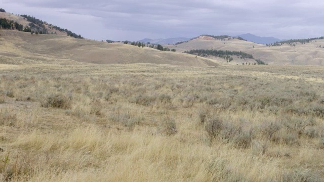 风景优美的山脉/黄石国家公园，怀俄明州，美国视频下载