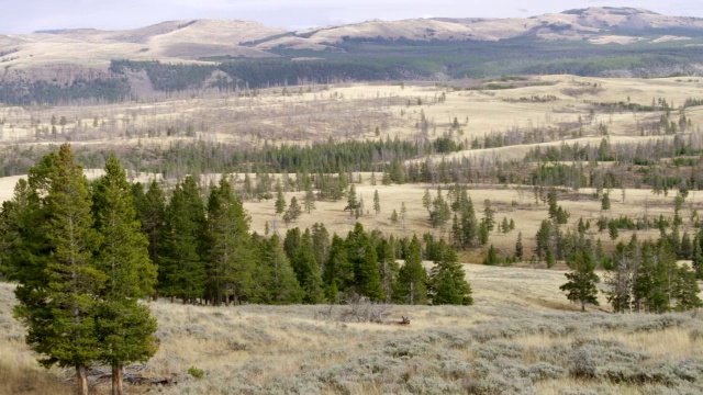 美国怀俄明州的海登山谷和黄石国家公园视频素材