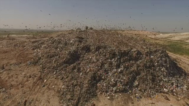 鸟瞰图-成千上万的黑鸢(Milvus移民)在一个巨大的垃圾堆上觅食，而重型车辆和垃圾车带来了更多的垃圾/杜达伊姆垃圾场，以色列南部视频下载