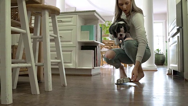一名年轻女子在厨房里用狗食喂小狗视频素材