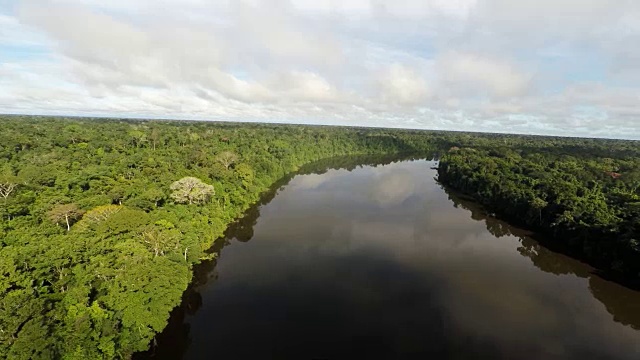 低空俯瞰亚马逊河和雨林视频下载