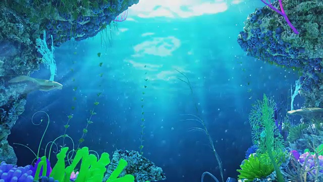 水下风景与珊瑚礁视频下载