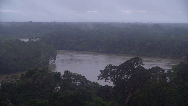 一个雾蒙蒙的秘鲁雨林河的静态镜头视频下载