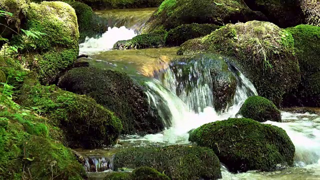 美丽的山溪和岩石上的苔藓视频素材